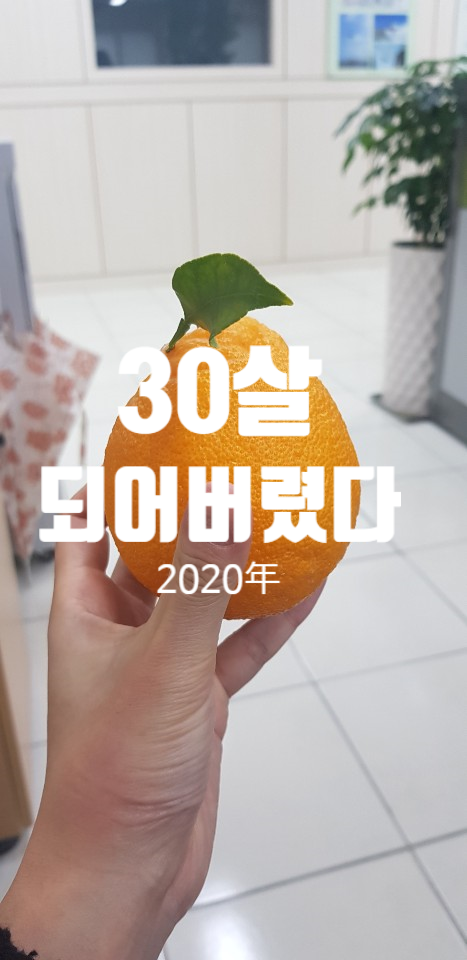 2020년 30살이 되어버렸다.