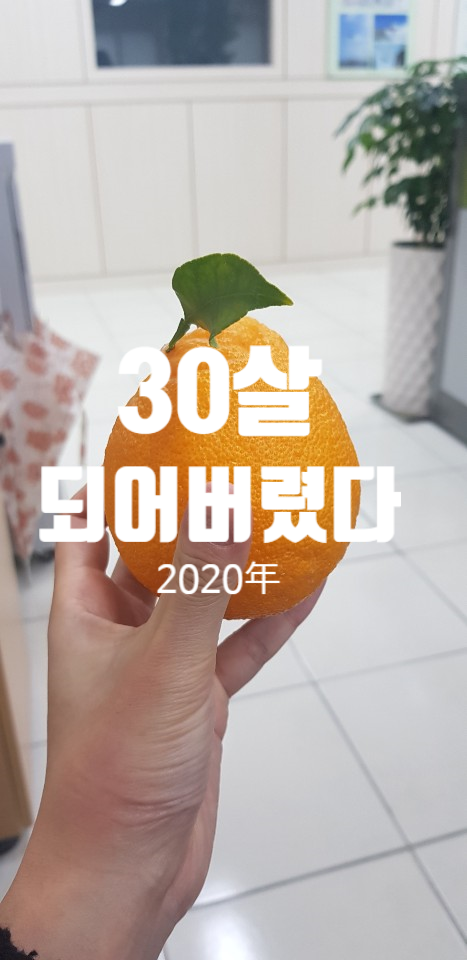 2020년 30살이 되어버렸다.