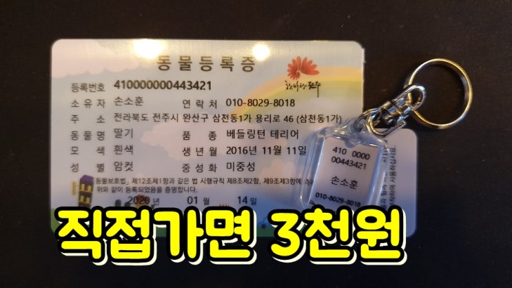  2020년 강아지등록제, 소유권변경 방법, 내장칩