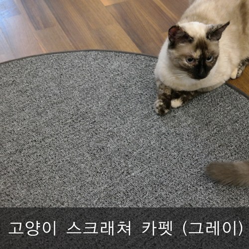 [반려동물용품]  고양이 스크래쳐 카페트 색상그레이 100cm X 75cm 애완동물