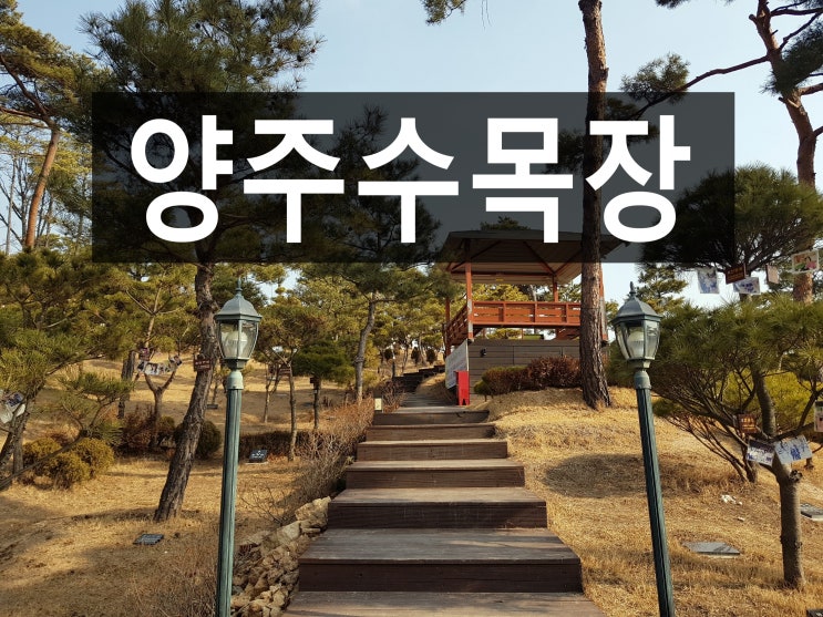 양주수목장 자연친화적이며 서울과 가까운 곳 어떠세요?