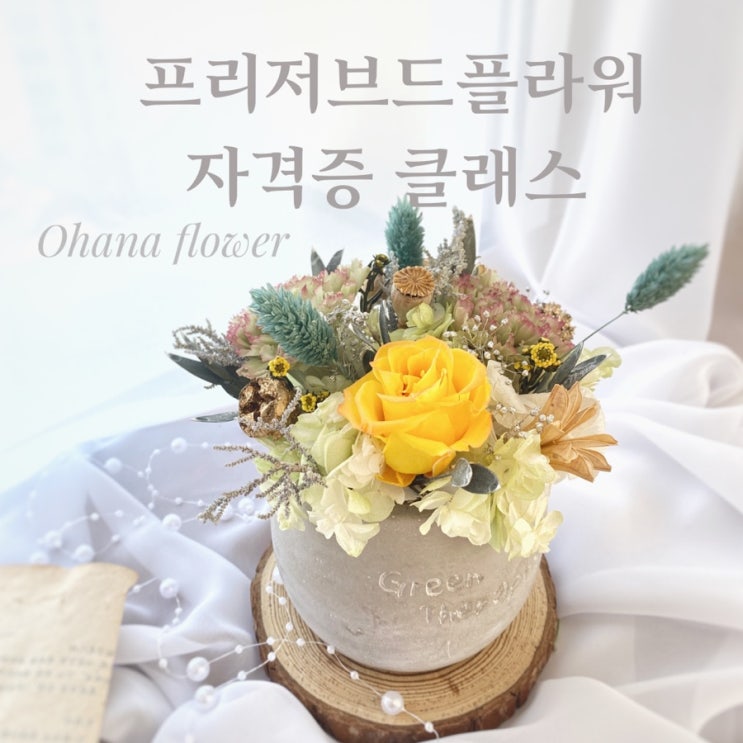  프리저브드플라워자격증 창업(기초)클래스 후기  :: 부산 수영 해운대 플라워스튜디오 Ohanaflower
