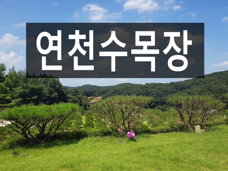  연천수목장 조용하고 깨끗한 환경의 저렴한 수목장을 아시나요?