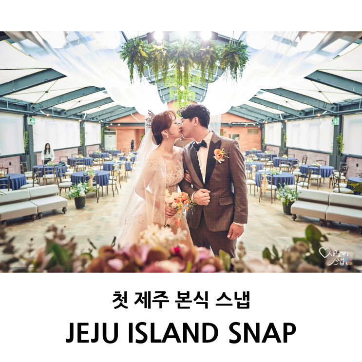  제주 본식 스냅: 사랑비는 본식스냅도 촬영해요 by 세균작가