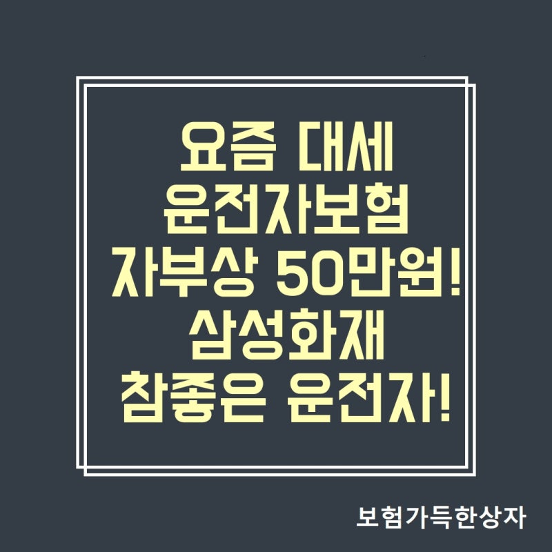 삼성화재 상해보험 안심동행 운전자보험!! 자동차사고부상치료비 50만원!! 요즘 대세인 운전....