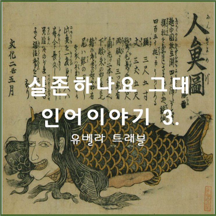  18. 특이한 문화 6) 존재하나요 그대 인어이야기 3.