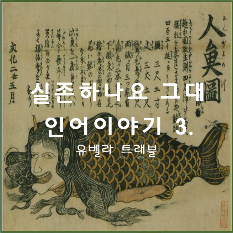 18. 특이한 문화 6) 존재하나요 그대 인어이야기 3.