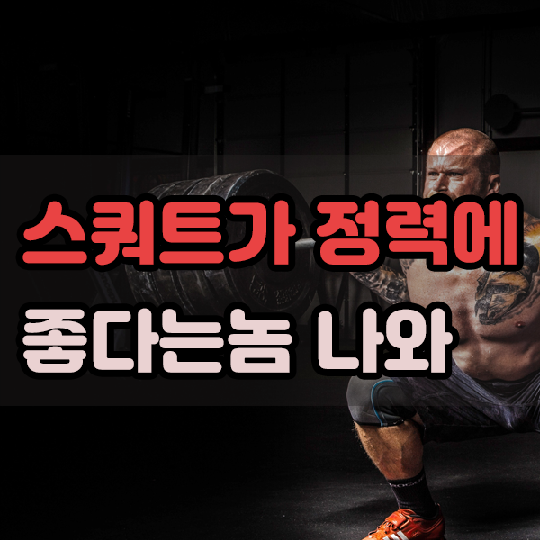  스쿼트가 정력에 좋다는놈 나와
