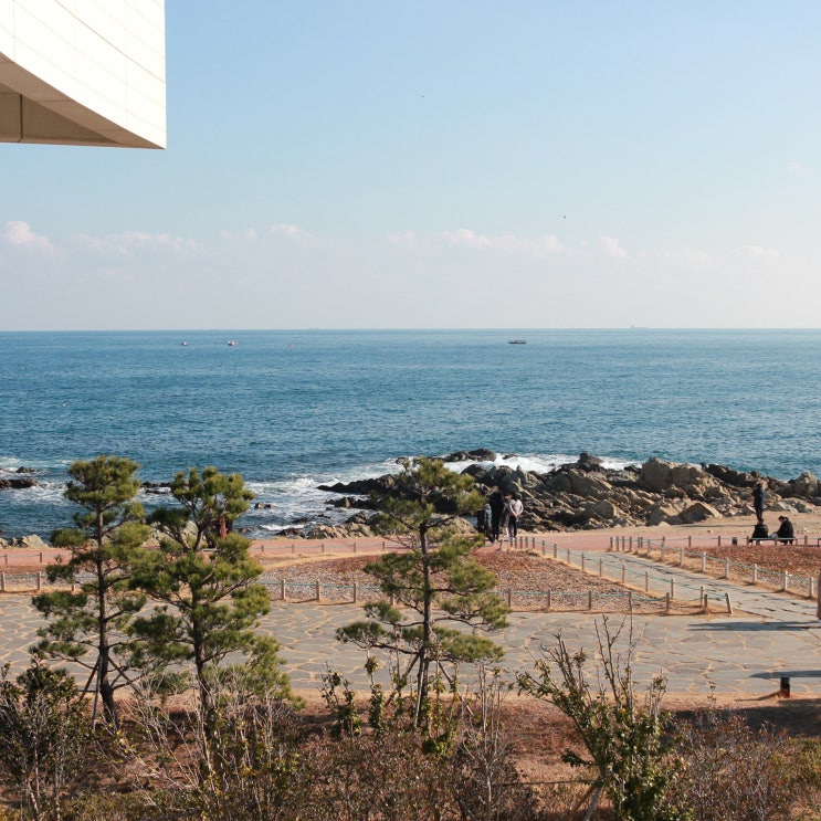  부산 기장 아난티코브 산책하기 좋았던 오시리아 바다산책길을 걷다