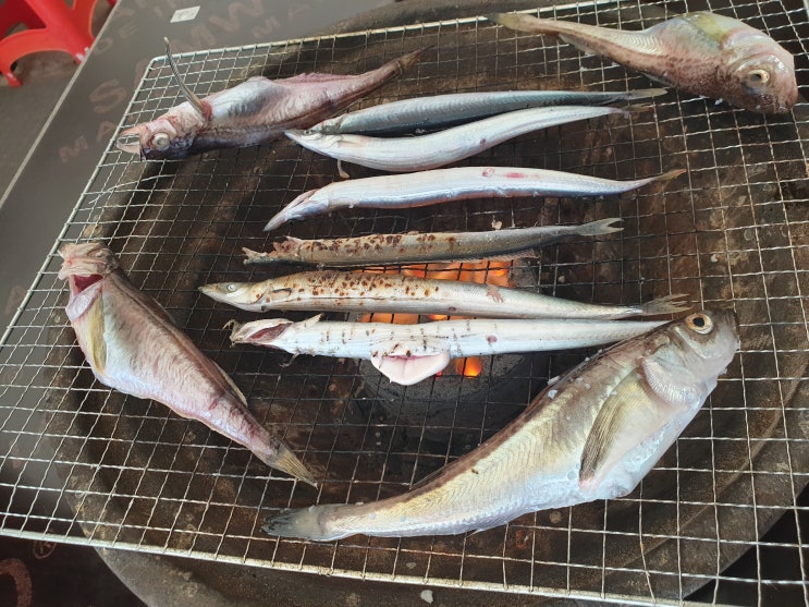  2박3일 속초맛집 찾아 떠난 먹방여행