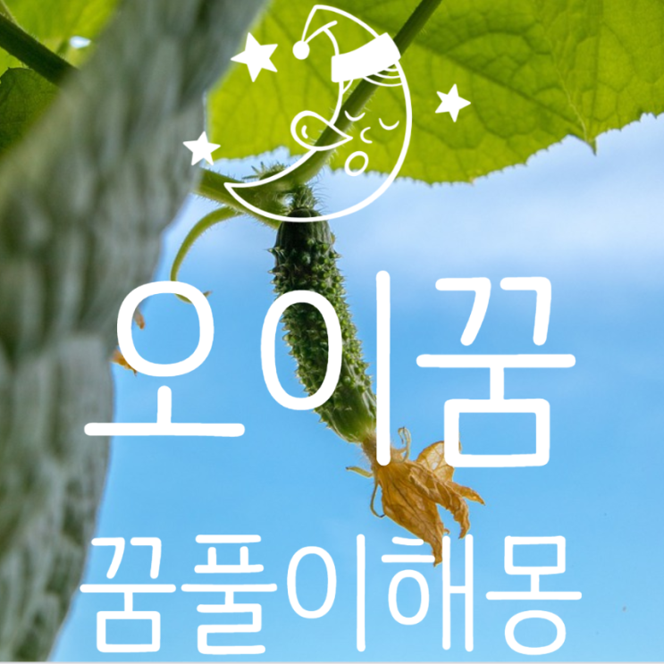  오이꿈 꿈 풀이 해몽