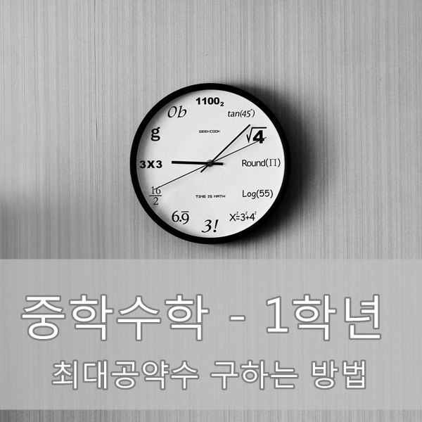  [중학교 1학년 수학 요점정리] 최대공약수 구하는 방법 요점정리