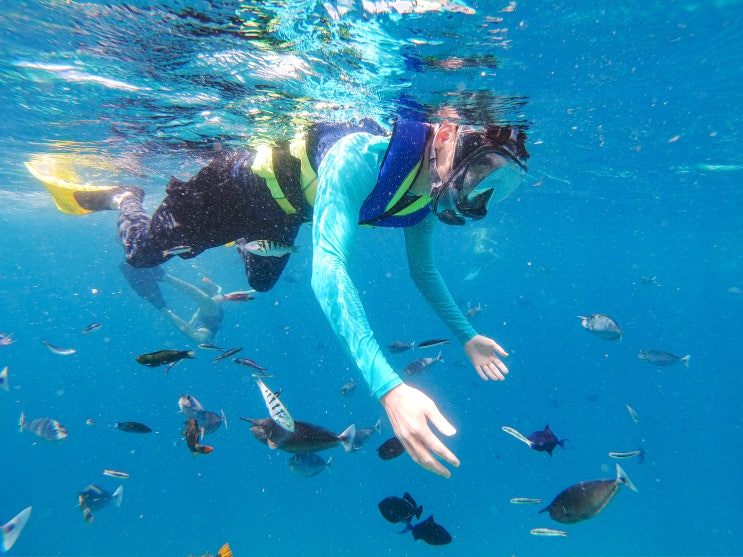  2019.12.29 몰디브(Maldives) 비야드후(Biyadhoo Reef) _Maldives #32