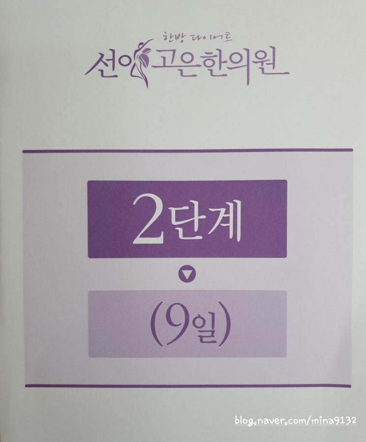 선이고은한의원 2달째 2단계(9일)