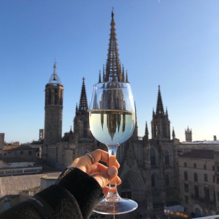  /바르셀로나 Day2. 타파스 맛집 Cervesería Catalana, 콜론호텔 루프탑(Hotel Colon), 벙커, 고딕하우스 떡볶이파티