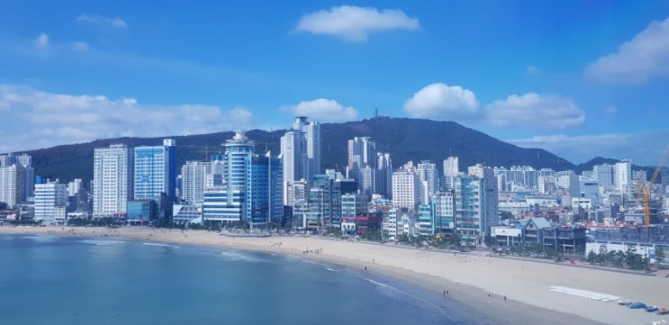  부산 여행 :: 부평 깡통야시장, 개미집 본점, 요트투어, 보수동책방골목