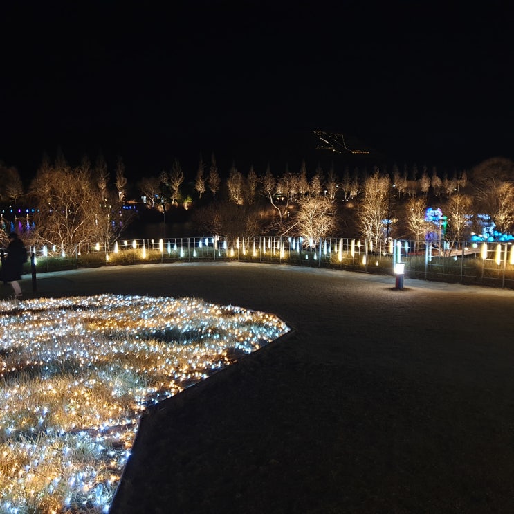 순천만 국가 정원 서문 별빛 축제 아내와 밤나들이