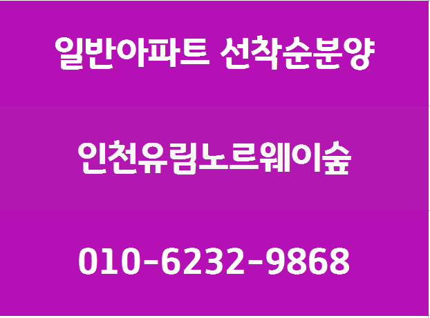  인천으로 몰려간 중국인, "제주도의 5배 " 상가 사들여