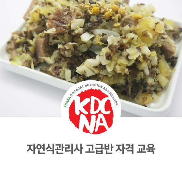  [펫푸드 전문가 양성 교육] 반려동물 자연식만들기 자격 교육 후기_93