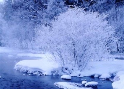 산천식품 이미지