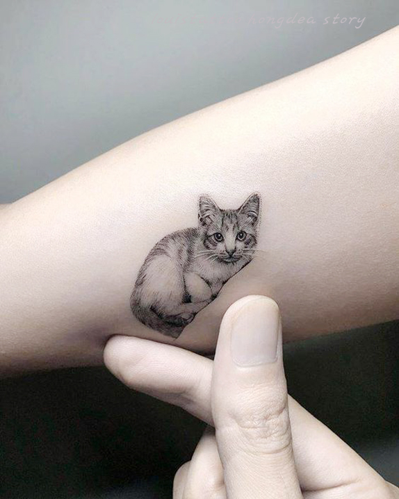  반려묘타투 사랑을 담아낸 고양이