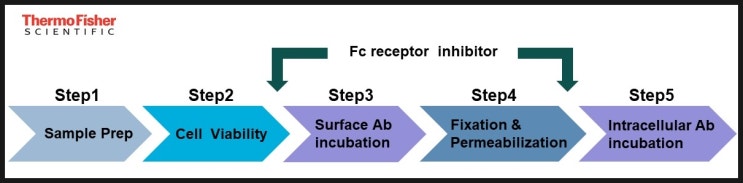  [Flow Cytometry] Five Steps to Flow Cytometry