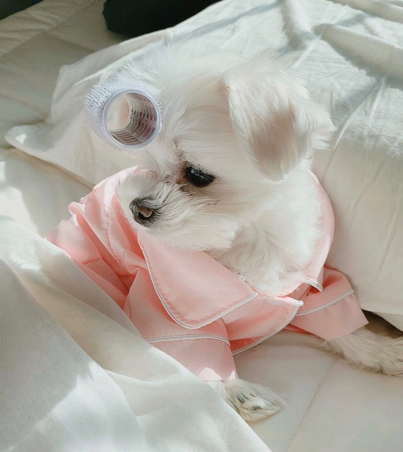 사진 2