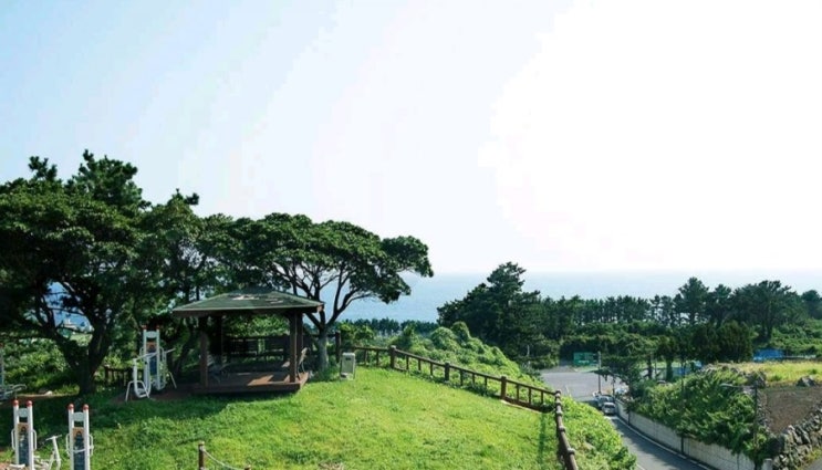  제주 서귀포 보우힐리조트 펜션 설연휴 예약가능