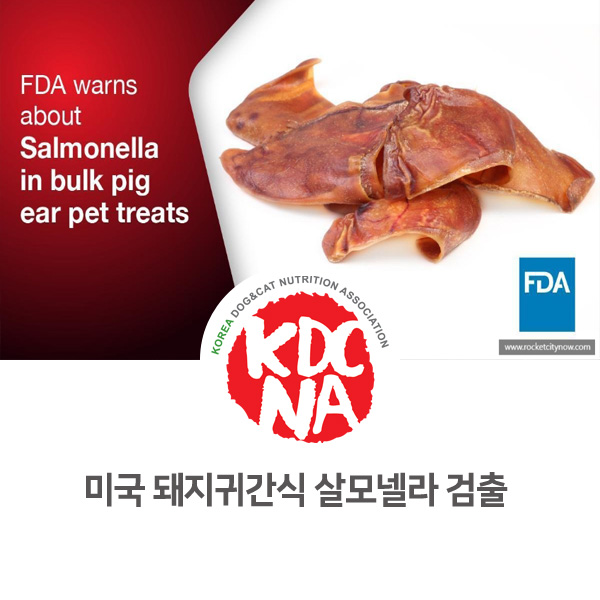  [반려동물 최신 뉴스] 미국 돼지귀 수제간식 살모넬라균 확산 사건_15