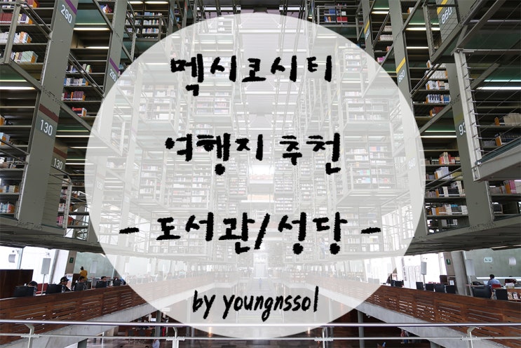  [세계여행 멕시코] 멕시코시티 여행일정 / 인터스텔라 도서관(바스콘셀로스 도서관) / 과달루페 대성당 / 성물방 / 멕시티맛집 / 버스타고 가는법
