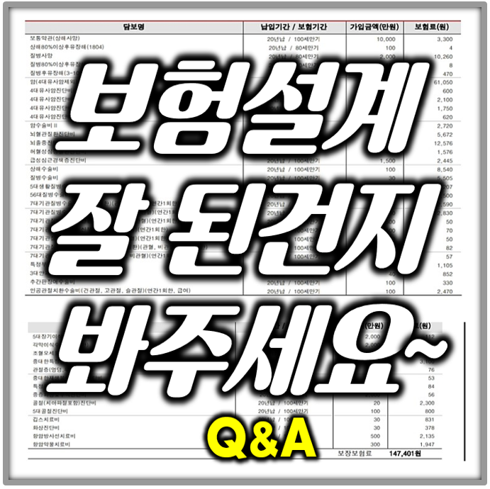  보험설계 잘 된 건지 봐주세요