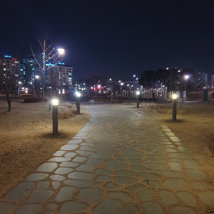 남재묘를 통째로 비워둔 통큰 애미와 함께한 별내 강아지 산책 남재묘를 통째로 비워둔 통큰 애미와 함께한 별내 강아지 산책