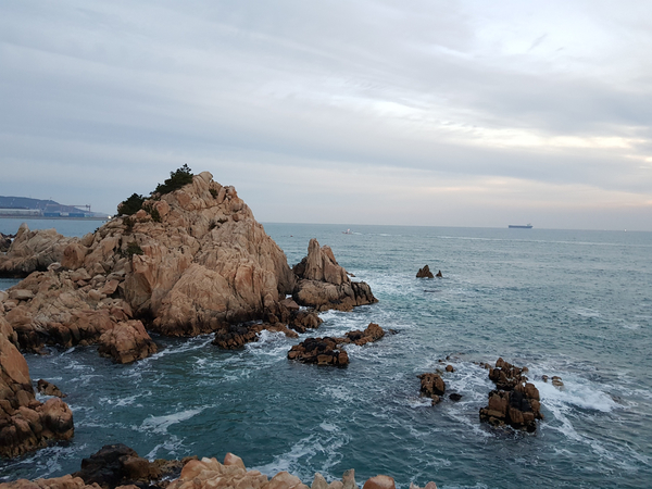  200116 울산 대왕암공원 일출 보기