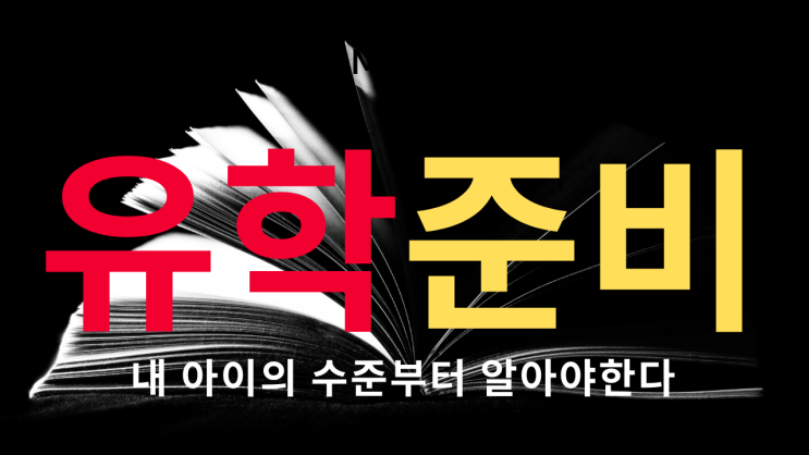  아이를 좋은 국제학교로 보내기 위한 준비