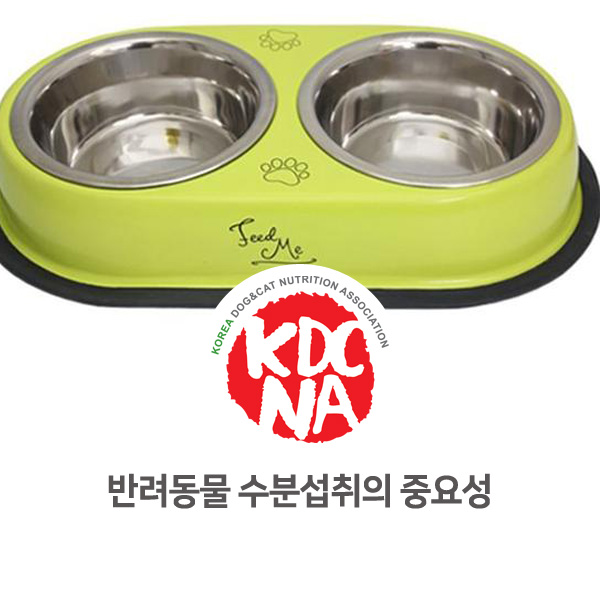  [반려인이 알아야할 필수 정보] 강아지 고양이 수분 섭취 중요성_35