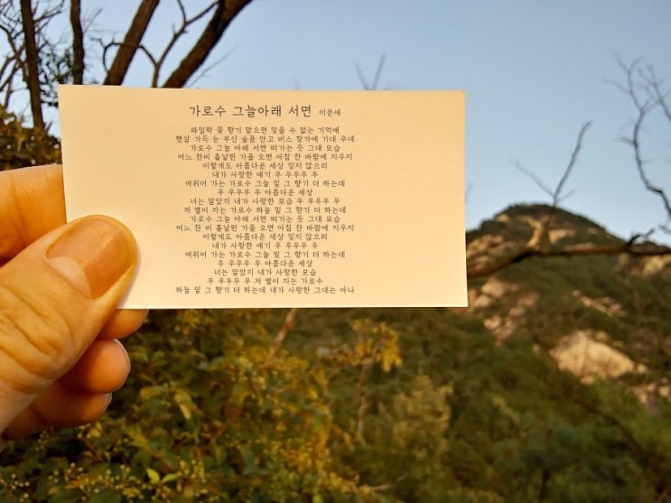  가로수 그늘아래 서면 - 이문세