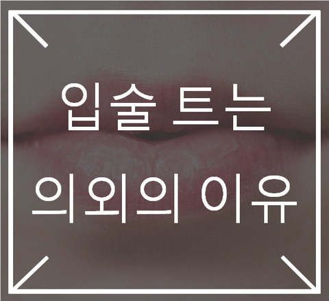  [영통입구/청명역/황골마을/헬스장]193. 입술이 자주 트는 의외의 이유 5가지 !