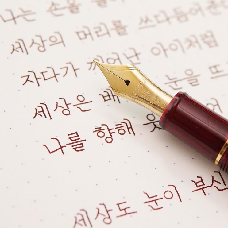  멀리서 보면… (플래티넘 센츄리 부르고뉴 ef닙)