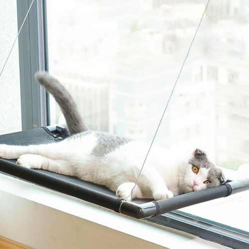 [반려동물용품]  바보사랑갓샵 꿀잠 고양이창문해먹 최대 20kg 윈도우 냥이침대 1개 애완동물
