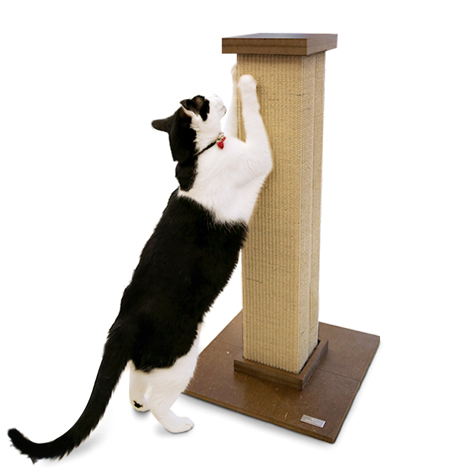 [반려동물용품]  피카노리 고양이 스크래쳐 기둥형 브라운 1개 애완동물