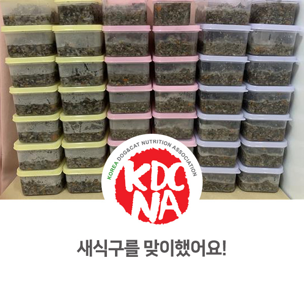  [반려동물 영양 전문가 자격 교육] 한국반려동물영양협회 경기지회 최수연펫영양사의 새로운 웰시코기 가족!_90