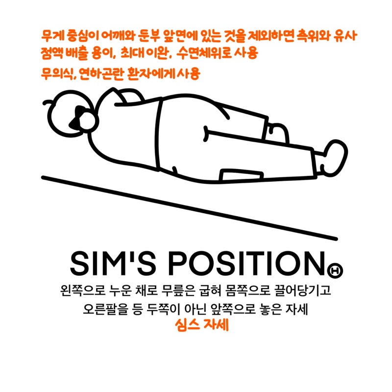 [의학용어]Term/DAY12/③/방향을 나타내는 용어, 해부학면, 자세, 부위, 사분면/의학용어-체위 : 네이버 블로그