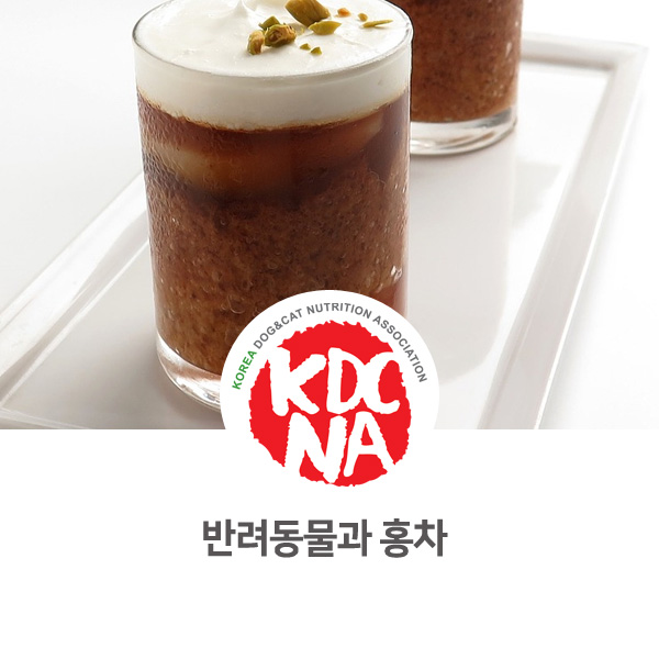  [강아지 고양이 식재료 정보] 반려동물이 홍차를 먹었다면?_134
