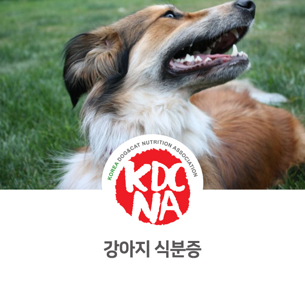[반려인이 알아야할 필수 정보] 강아지 똥먹는 이유 식분증_36