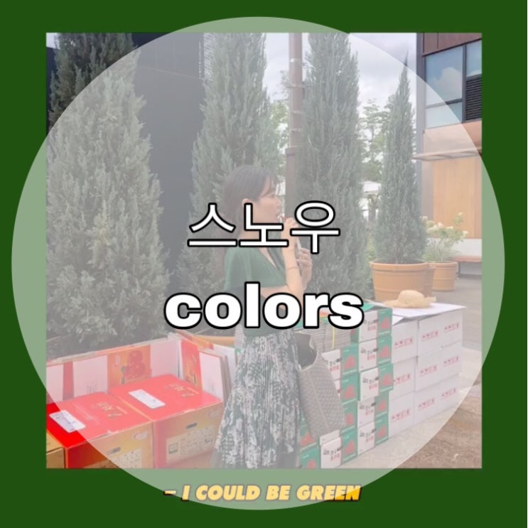  스노우 colors