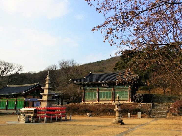  공주 가볼만한곳 계룡산 3대 사찰 신원사...