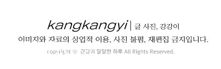 거품입욕제 추천 : 폭신폭신 거품이 꺼지는 목욕밤 6