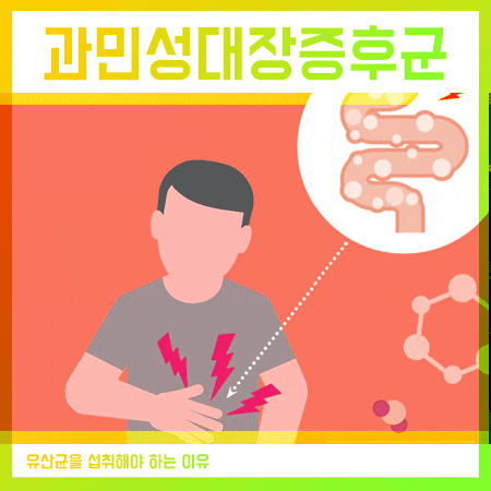  과민성대장증후군 치료 도움되는 유산균추천 해드려요.