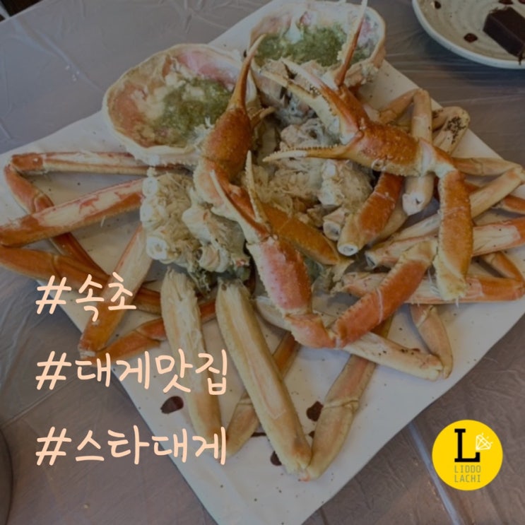  [강원]내돈내먹/속초 대게 맛집 찾는다면 스타대게