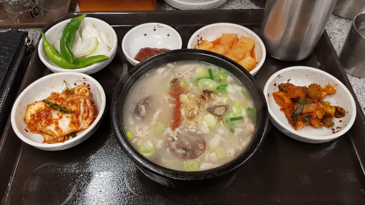대전 순대국밥 맛집 농민순대